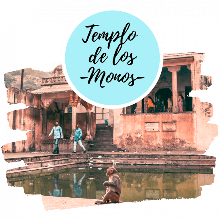 Templo de los Monos Jaipur