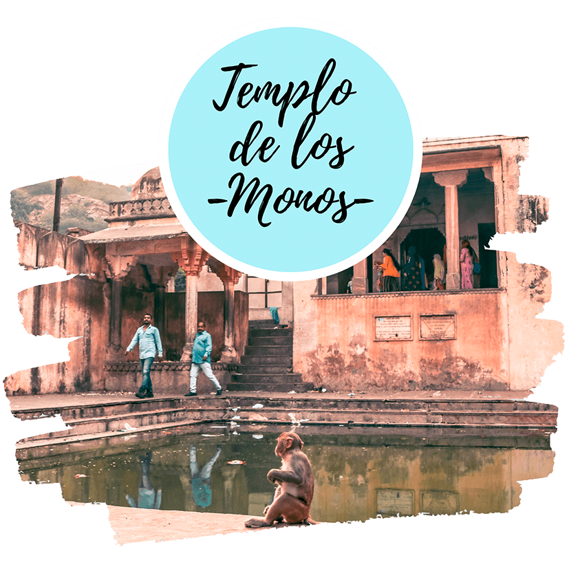 Templo de los Monos Jaipur