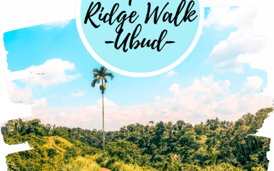 Campuhan Ridge Walk Ubud