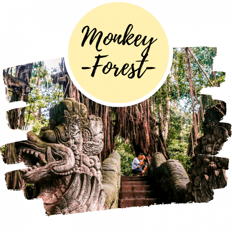 Bosque de los Monos Bali