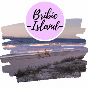 Guía para viajar a Bribie Island