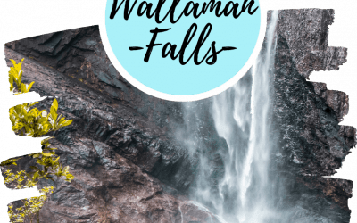 Guía para visitar las Wallaman Falls